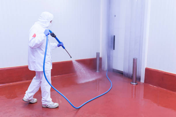 Best Gutter Cleaning and Brightening in Redington Beach, FL